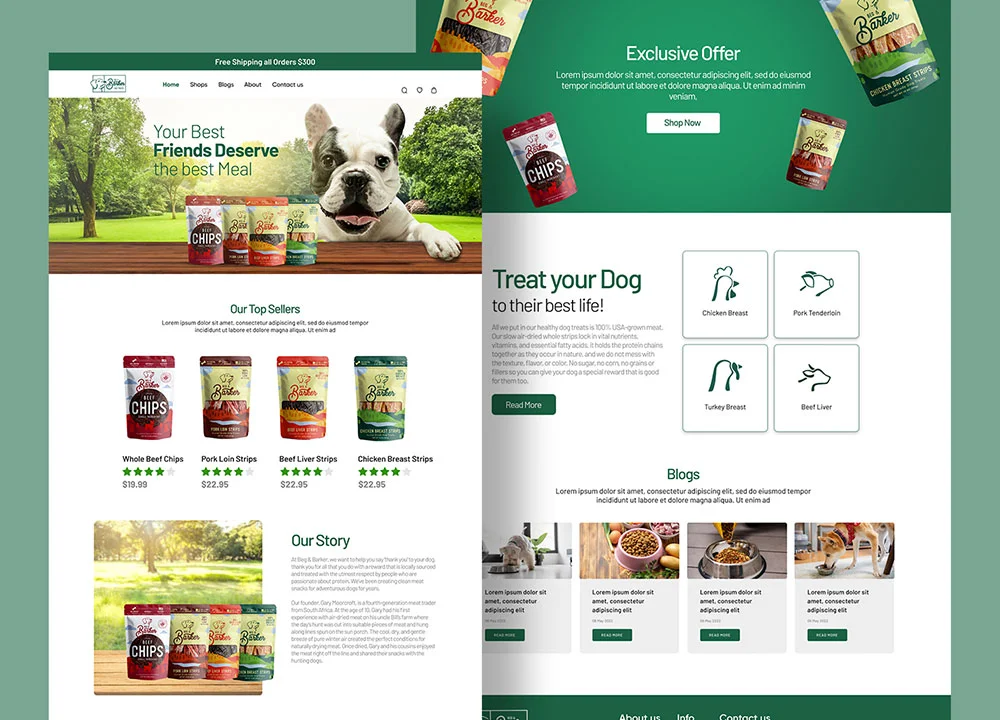 WEBSITE DESIGN AND DEVELOPMENT